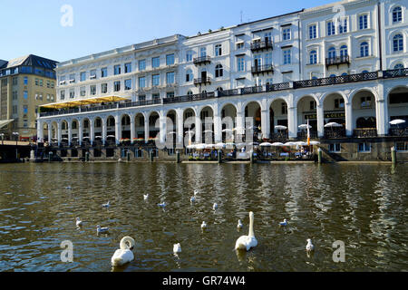 Alsterarkaden In Hamburg Stockfoto