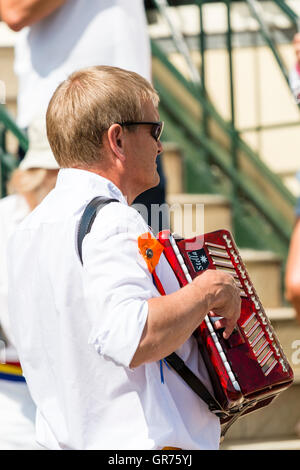 England, Broadstairs Folk Woche. Madcap Morris Team. Reifen morris Mann spielt Akkordeon, Nahaufnahme, von hinten gesehen. Im Freien, Sonnenschein. Stockfoto