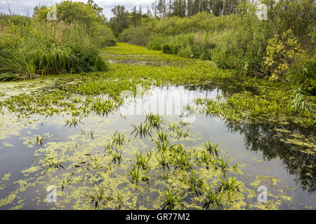 Biostop Stockfoto