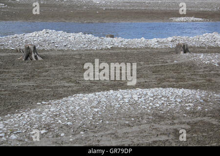 Trekking durch See Forggen Stockfoto