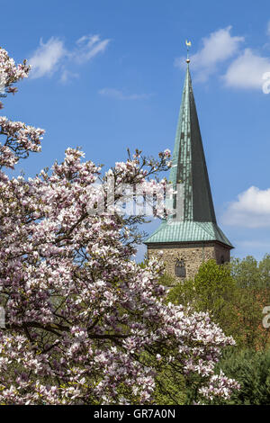 Evangelische St.-Laurentius-Kirche In Schledehausen, Osnabrück Land, Niedersachsen, Deutschland evangelische Kirche Stockfoto