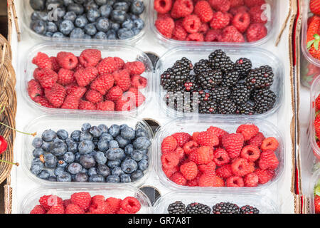 Frische Heidelbeeren, Himbeeren und Brombeeren auf einem Markt In Italien Stockfoto