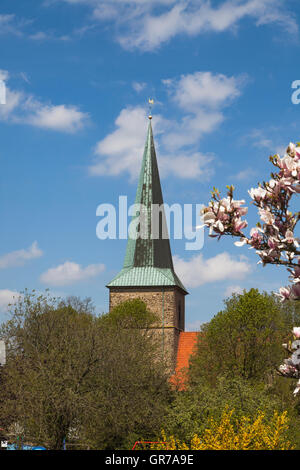 Evangelische St.-Laurentius-Kirche In Schledehausen, Osnabrück Land, Niedersachsen, Deutschland evangelische Kirche Stockfoto