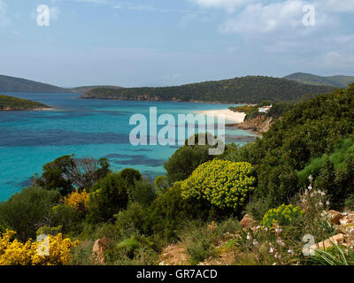 Landschaft an der Costa Del Sud, Frühling In Süd-Sardinien, Italien, Europa Stockfoto