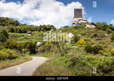 Turm San Giovanni nahe Sant Ilario, Torre Di San Giovanni, Elba, Toskana, Italien Stockfoto