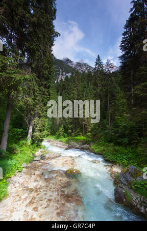 Stream In Bayern Stockfoto