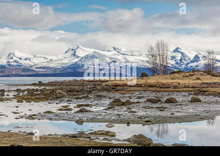 Blick über Ofotenfjord südlich von Narvik Stockfoto