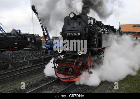 Harzer Schmalspurbahn Stockfoto