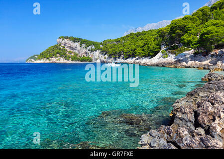 Schöner Strand in Makarska Riviera, Tucepi, Dalmatien Stockfoto