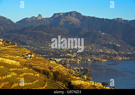 Herbst an der Riviera Vaudoise, Blick auf den Weinbergen des Lavaux und Vevey, Schweiz Stockfoto