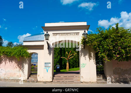 Botaanikaaed, Botanischer Garten, Tartu, Estland, Baltikum, Europa Stockfoto