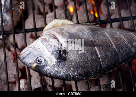 Fisch auf dem Grill Stockfoto