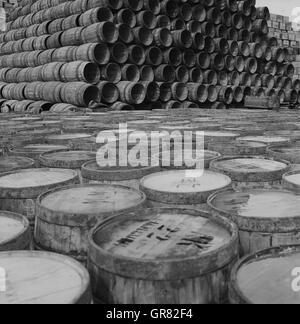 Hering Barrel 1966 Stockfoto