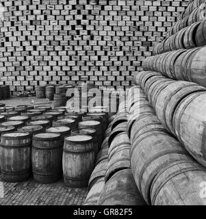 Hering Barrel 1966 Stockfoto