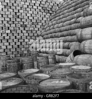 Hering Barrel 1966 Stockfoto