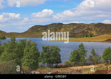 Schottland, Highlands, Landschaft in das Loch Tarff, Wasserschutzgebiet Stockfoto