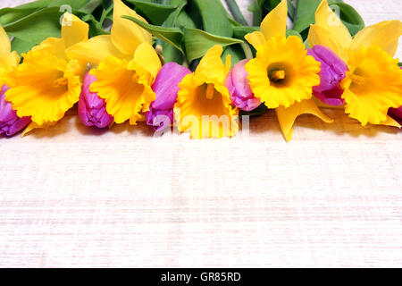 Trauben von Frühling Blumen Stockfoto