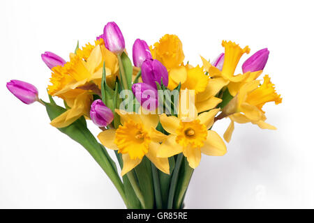 Trauben von Frühling Blumen Stockfoto