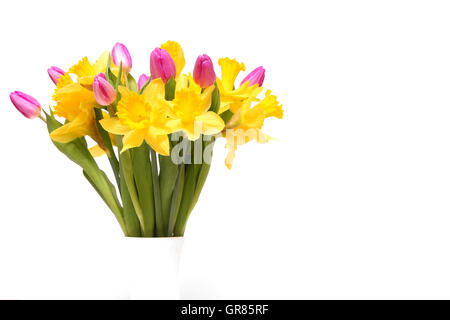 Trauben von Frühling Blumen Stockfoto