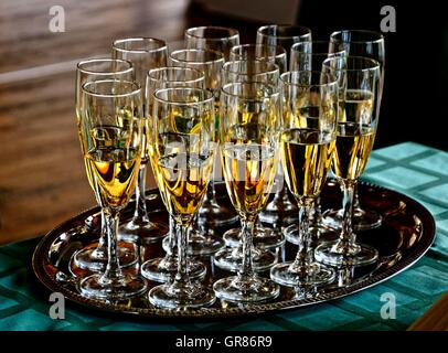 Viele Sektgläser gefüllt mit Champagner auf silbernen Tablett Stockfoto