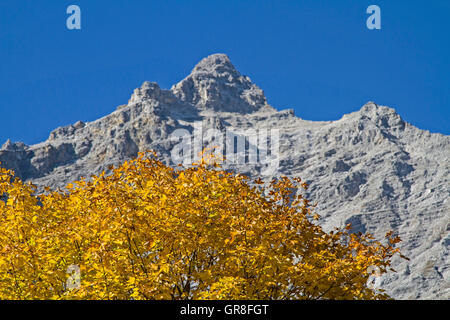 Die Herbstfarben der Ahornbäume auf kleinen Ahorn Boden im Karwendel ist ein Naturwunder, die jährlich viele Wanderer bewundern Stockfoto