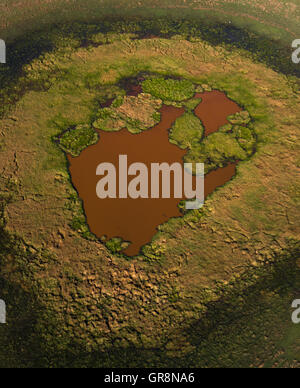 Lagune im Pantanal während der trockenen Jahreszeit Stockfoto