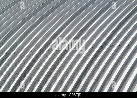 Kurve Blatt Aluminiumdach, Fabrikdach Stahl Stockfoto