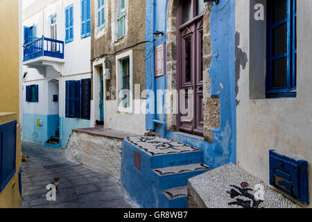 Gasse mit bunten Häusern und Katzen in der traditionellen Dorf von Mandraki, Nisyros Insel, Griechenland Stockfoto