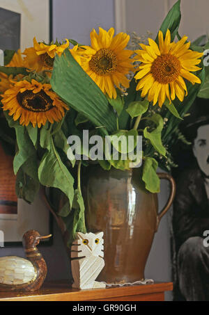 Sonnenblumen In Vase Stockfoto