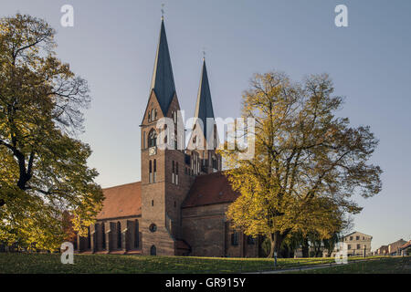 Kloster Kirche der Hl. Dreifaltigkeit und Wichmann Linde Neuruppin, Mecklenburg Stockfoto