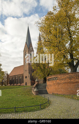 Kloster Kirche der Hl. Dreifaltigkeit und Wichmann Linde Neuruppin, Mecklenburg Stockfoto