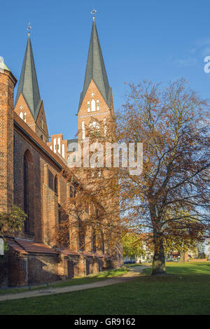 Kloster Kirche der Hl. Dreifaltigkeit und Wichmann Linde Neuruppin, Mecklenburg Stockfoto