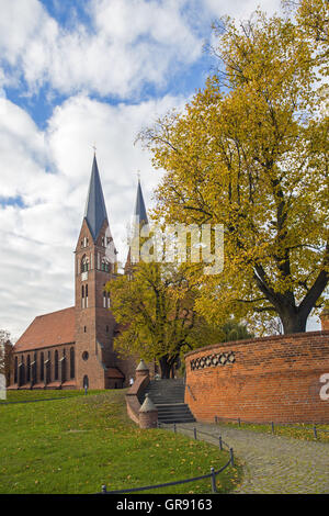 Kloster Kirche der Hl. Dreifaltigkeit und Wichmann Linde Neuruppin, Mecklenburg Stockfoto