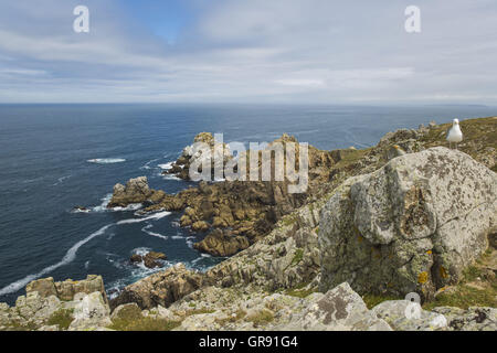 Pointe Du Van, Cap Sizum. Finistere, Bretagne, Frankreich Stockfoto