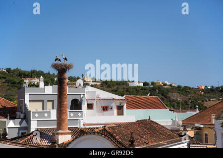 Drei Störche im Horst auf einem Schornstein, Silves, Algarve, Portugal, Europa Stockfoto