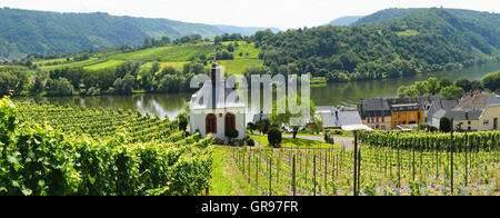 Kröv an der Mosel-Panorama mit Kesselstatt Kapelle und Weinberge Stockfoto