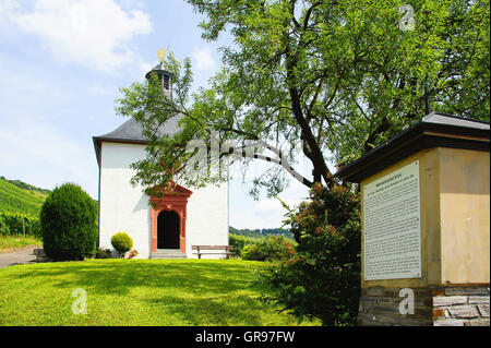 Kesselstattkapelle In den Weinbergen in der Nähe von Kröv an der Mosel Stockfoto