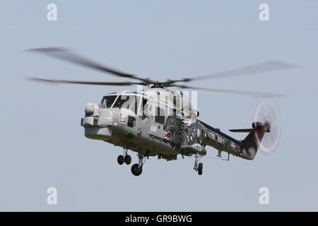 Britische erbaute Royal Navy Westland Lynx hma 8 sru xz 692/641 der Royal Navy schwarze Katzen Hubschrauber display Team. Stockfoto