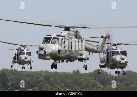 Britische erbaute Royal Navy Westland Lynx hma 8 Hubschrauber zd 565'314' führt ein Trio von Rn lynx Mk 8 s bei RNAS Yeovilton Stockfoto