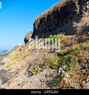 Europa-Griechenland Santorini und trockenen Busch Rock allein in den Himmel Stockfoto