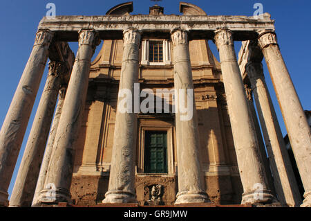 Kirche von San Lorenzo in Miranda und der Tempel des Antoninus und Faustina im Roman Forum in Rom, Italien. Stockfoto