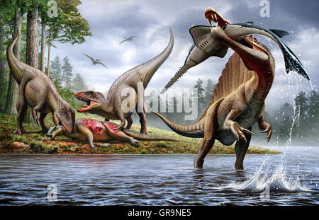 Ein Spinosaurus Jagd ein Onchopristis, während zwei Carcharodontosaurus die Karkasse Ouranosaurus im Hintergrund Essen Stockfoto