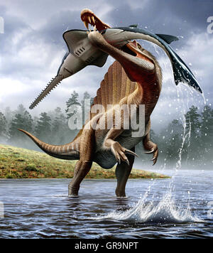 Spinosaurus jagt eine Onchopristis Stockfoto