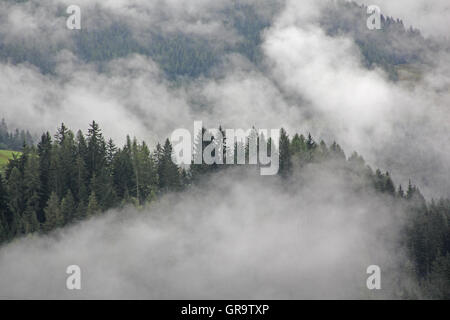 Wolke im September über den Bergwald In Kärnten, Österreich Stockfoto