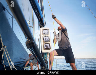 Mann einstellen Segelausrüstung auf Segelboot Stockfoto