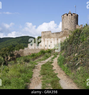 Burgruine Kaysersberg, Haut-Rhin, Elsass, Frankreich, Europa Stockfoto