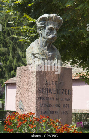 Albert-Schweitzer-Denkmal, Kaysersberg, Haut-Rhin, Elsass, Frankreich, Europa Stockfoto