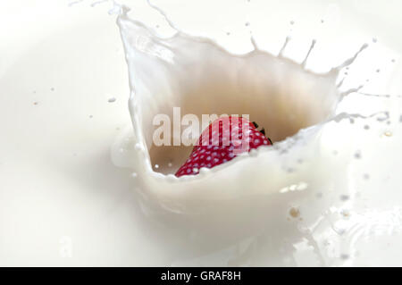 Strawberry splash Stockfoto