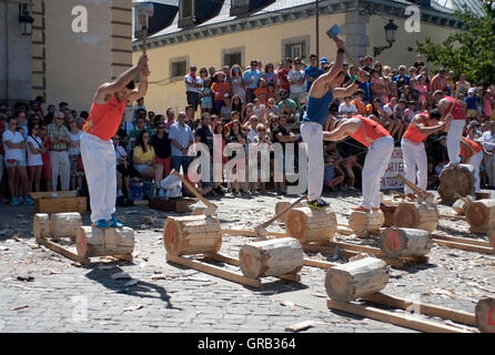 Männer hacken Protokolle in einem Wettbewerb in La Granja de San Ildefonso, Spanien 21. August 2016 - Copyright fotografieren John Voos Stockfoto