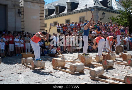 Männer hacken Protokolle in einem Wettbewerb in La Granja de San Ildefonso, Spanien 21. August 2016 - Copyright fotografieren John Voos Stockfoto